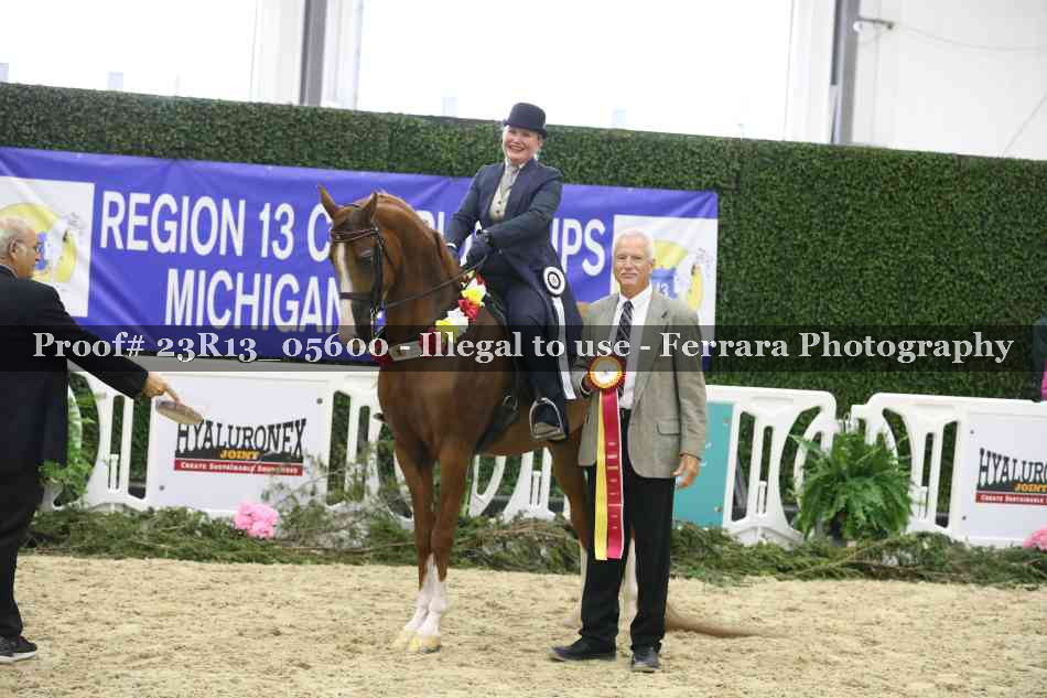 Proof 23R13_05600