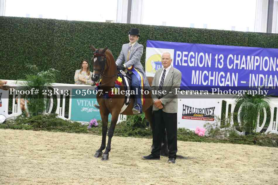 Proof 23R13_05607