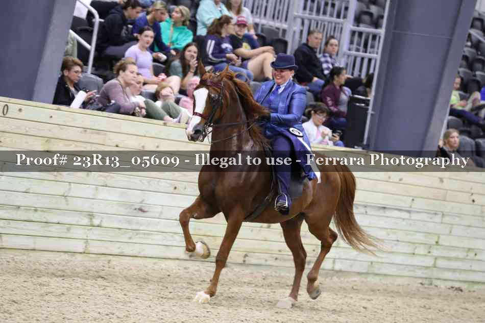 Proof 23R13_05609
