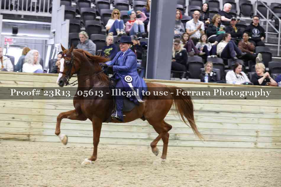 Proof 23R13_05613