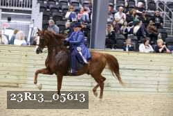 23R13_05613 proof