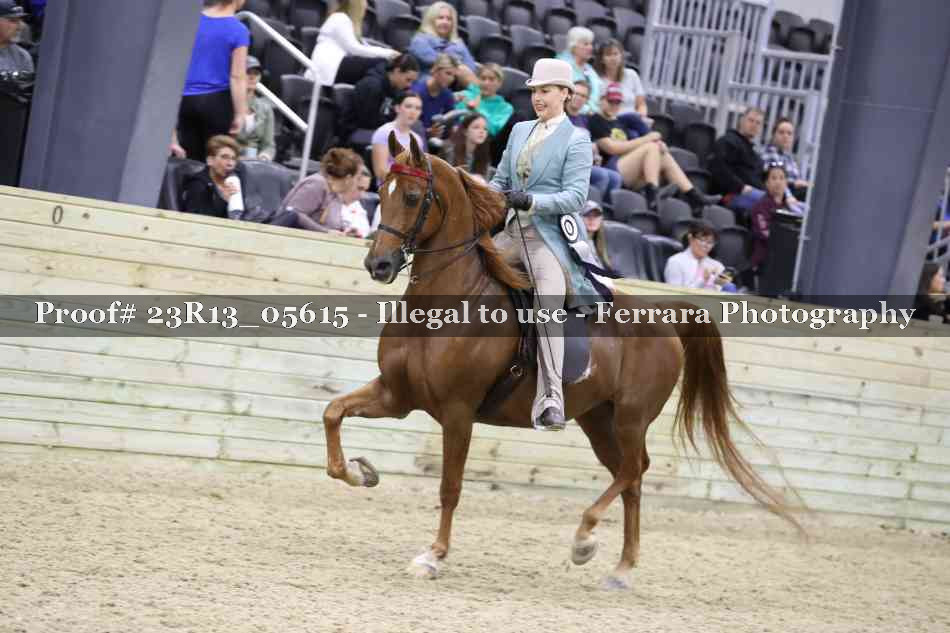Proof 23R13_05615
