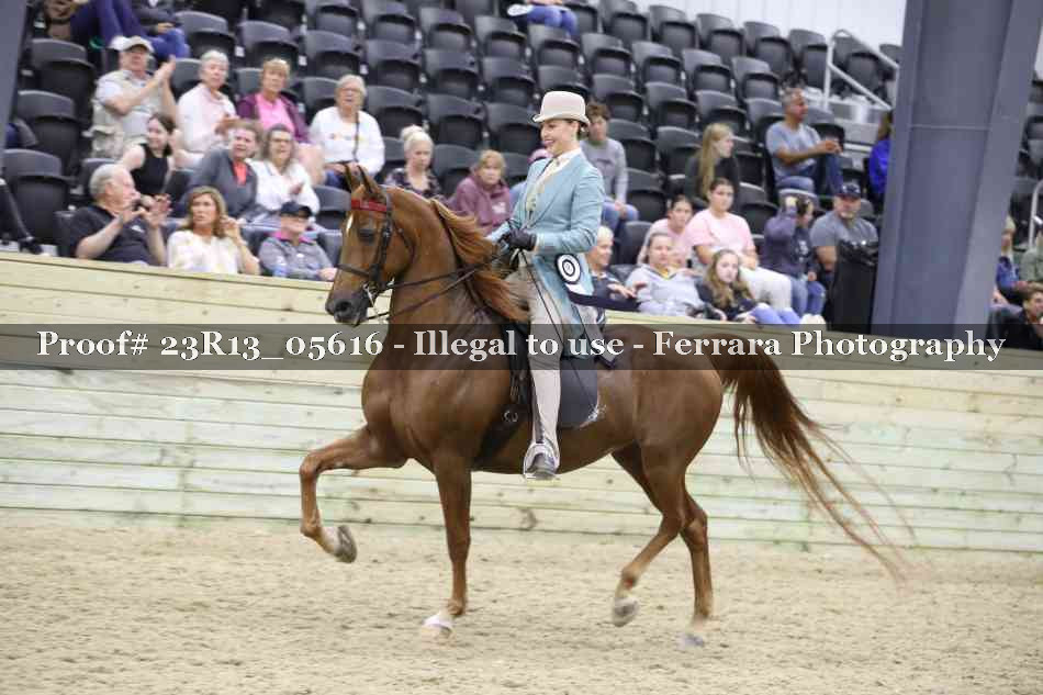 Proof 23R13_05616