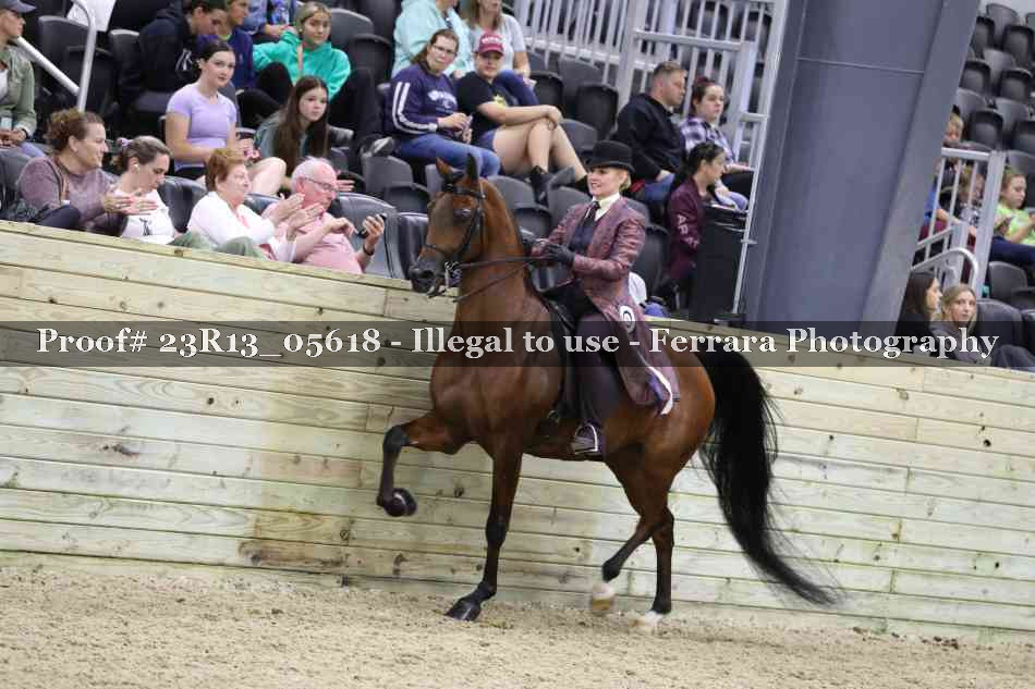 Proof 23R13_05618