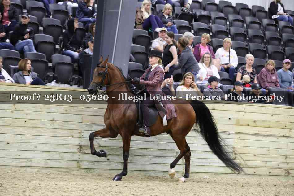 Proof 23R13_05620