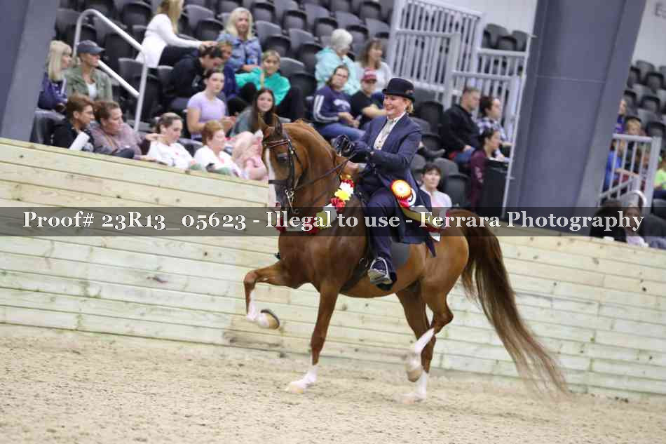 Proof 23R13_05623