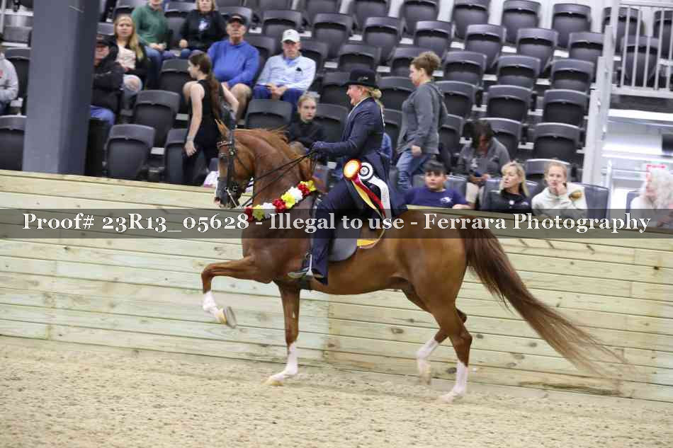 Proof 23R13_05628
