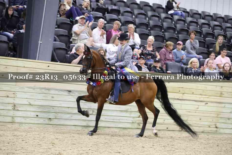 Proof 23R13_05633