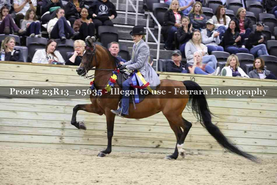 Proof 23R13_05635
