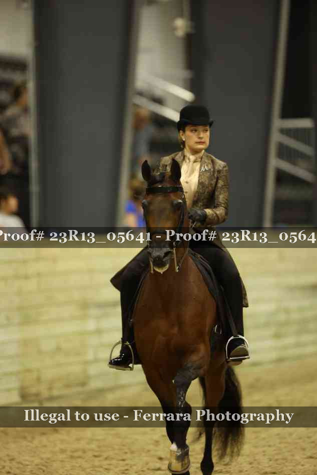 Proof 23R13_05641