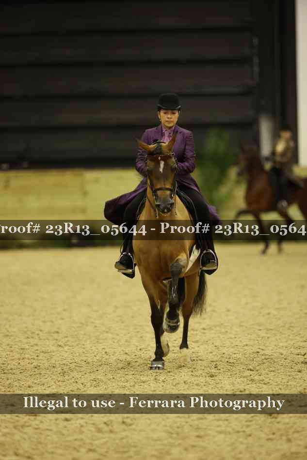 Proof 23R13_05644