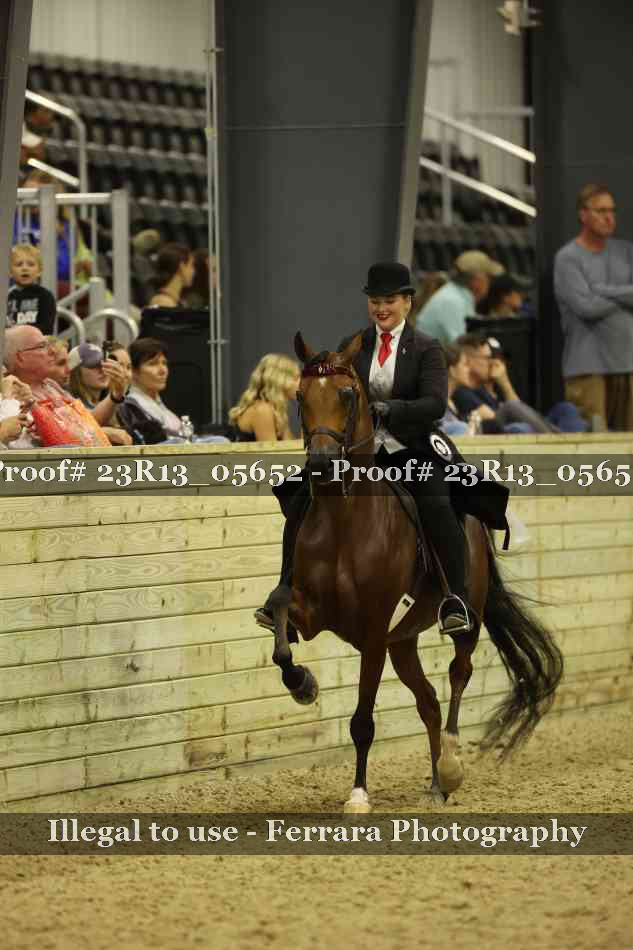 Proof 23R13_05652