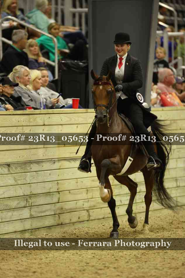 Proof 23R13_05653