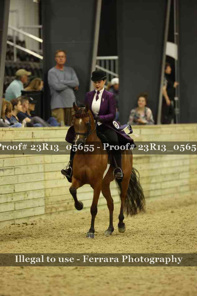 Proof 23R13_05655