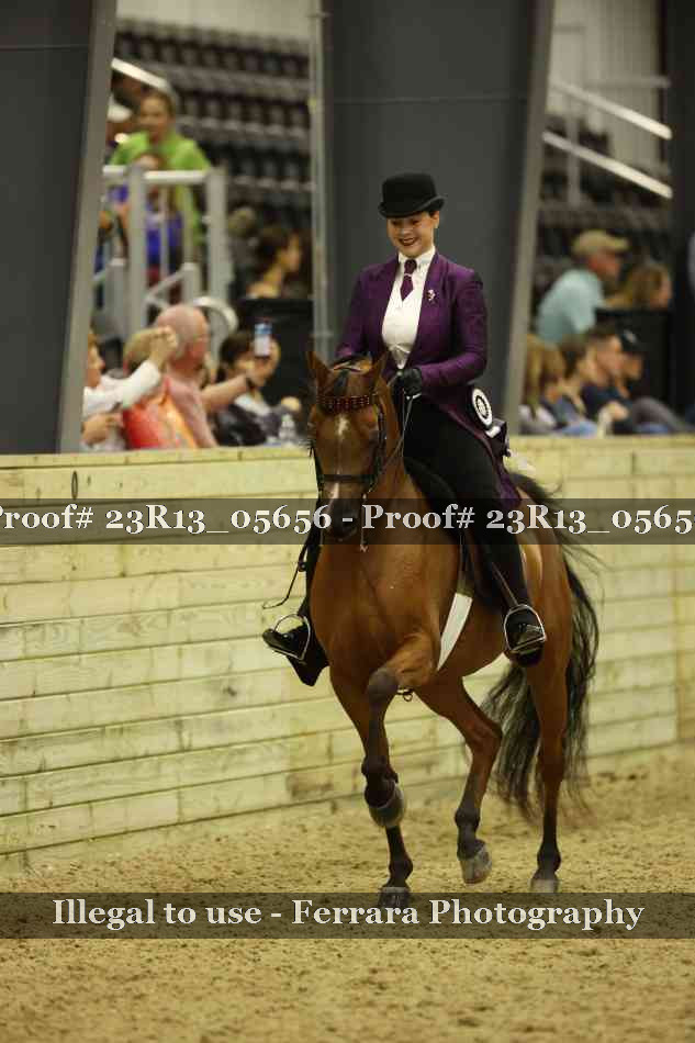 Proof 23R13_05656