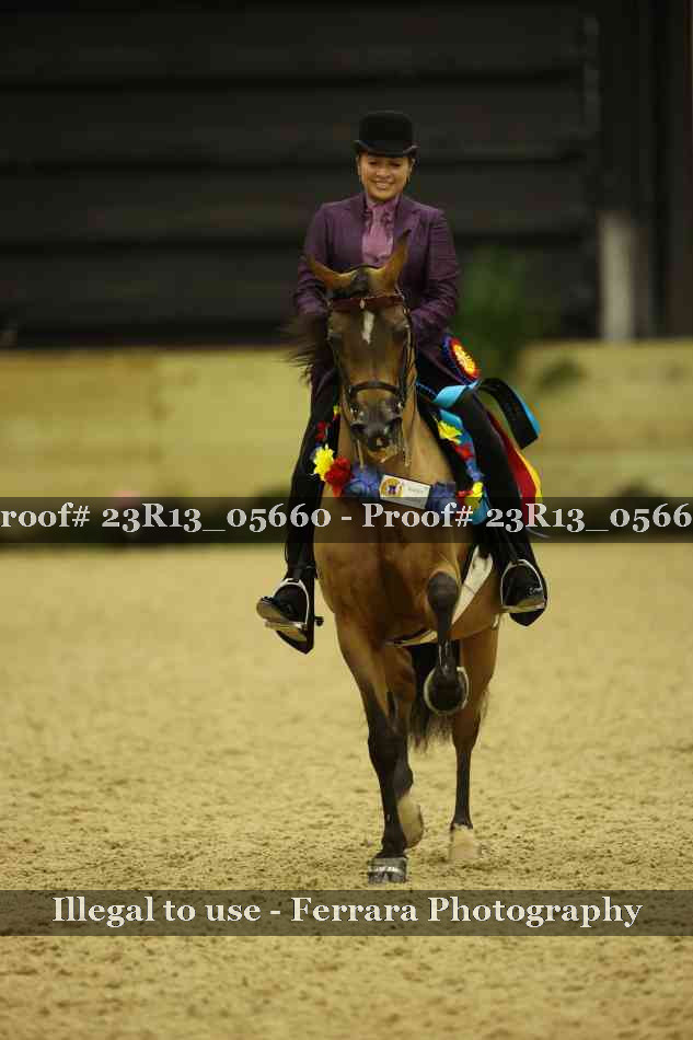 Proof 23R13_05660