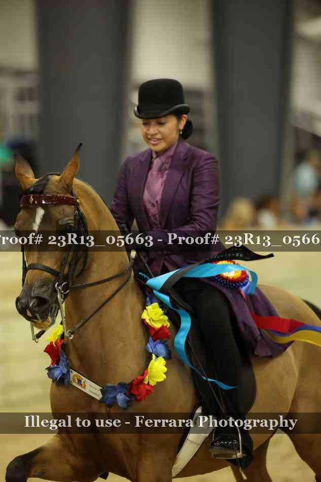 Proof 23R13_05663