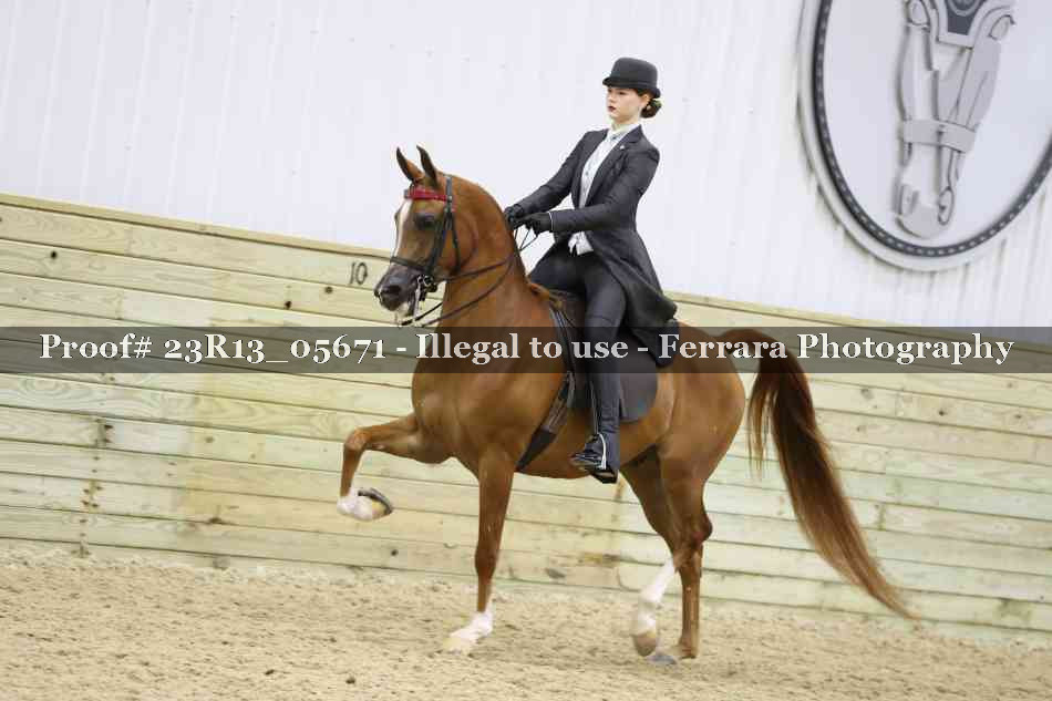 Proof 23R13_05671
