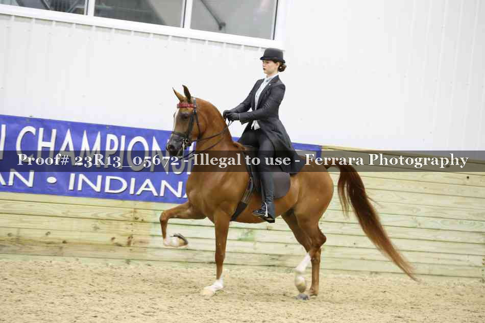 Proof 23R13_05672