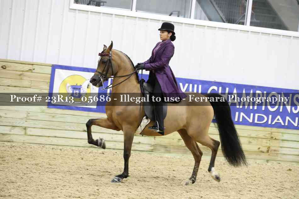 Proof 23R13_05686