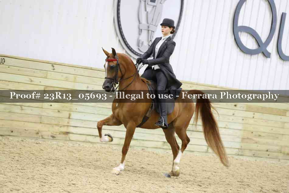 Proof 23R13_05693
