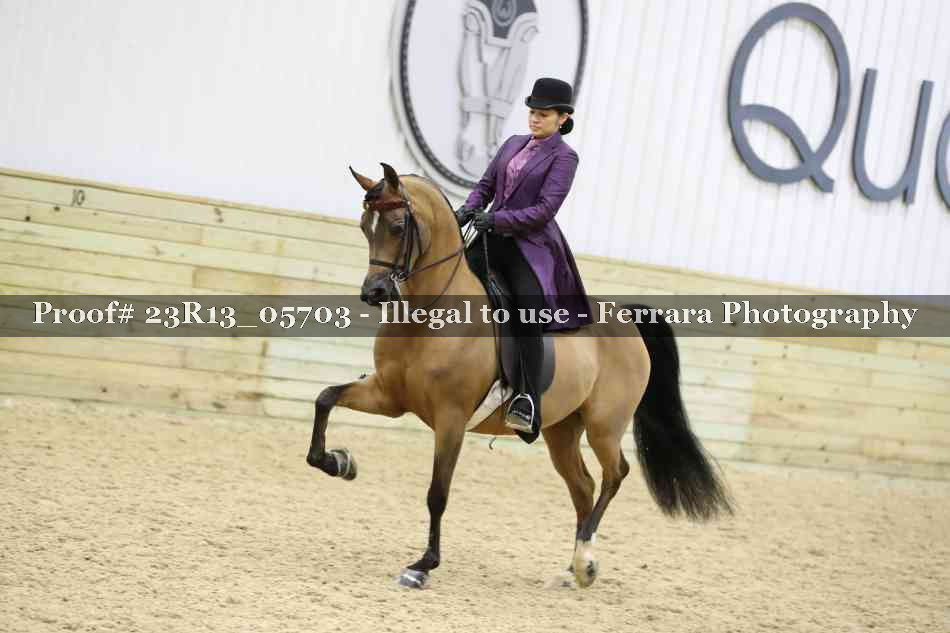 Proof 23R13_05703