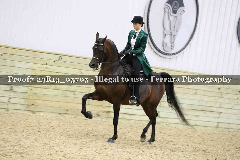Proof 23R13_05705