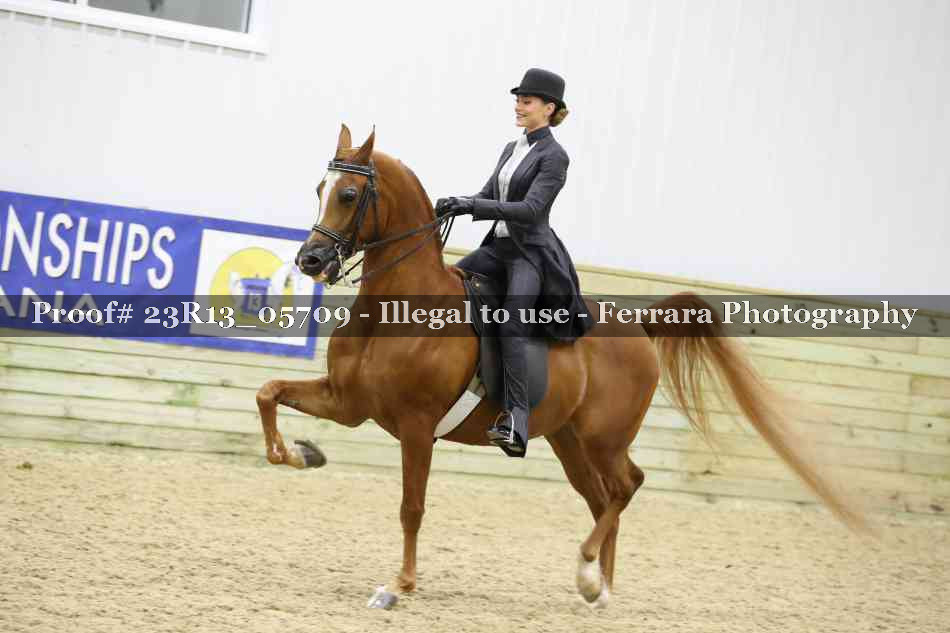 Proof 23R13_05709