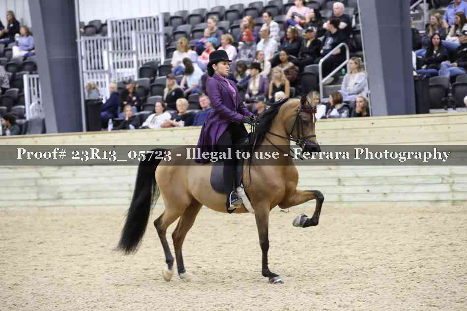 Proof 23R13_05723