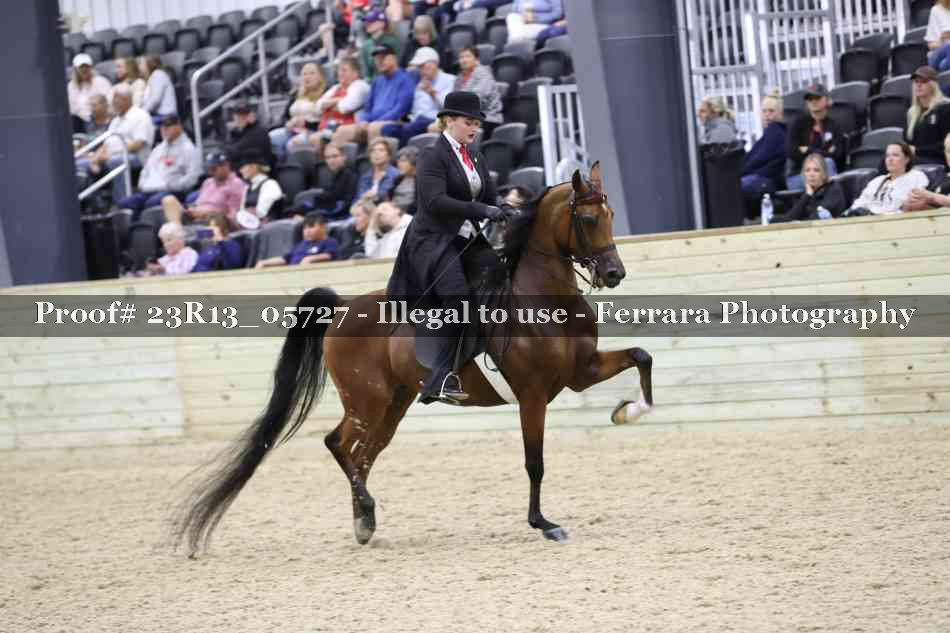 Proof 23R13_05727