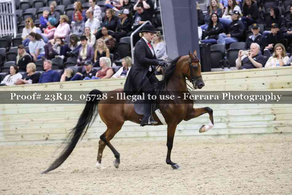 Proof 23R13_05728