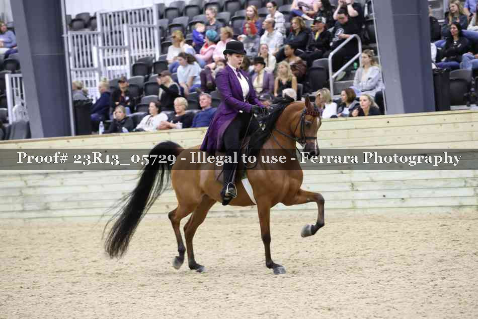 Proof 23R13_05729