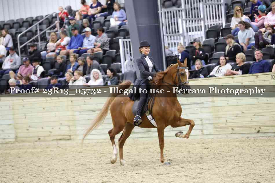 Proof 23R13_05732