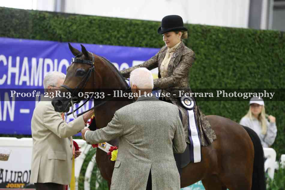 Proof 23R13_05733