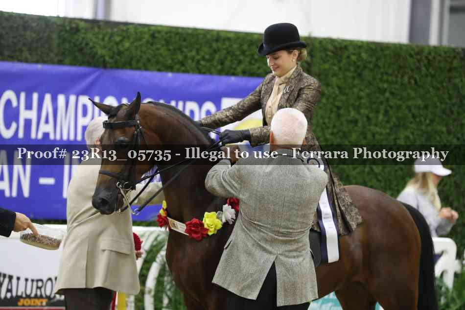 Proof 23R13_05735