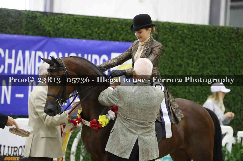 Proof 23R13_05736