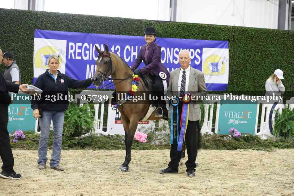 Proof 23R13_05739