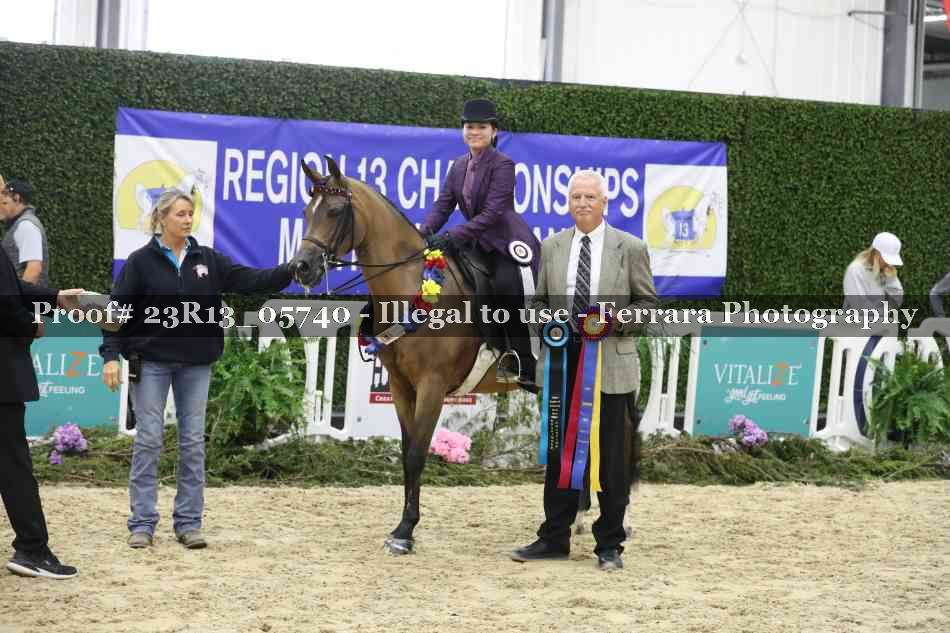Proof 23R13_05740