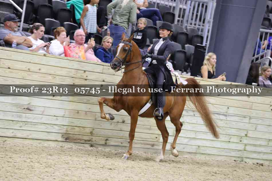 Proof 23R13_05745
