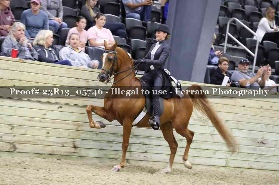 Proof 23R13_05746