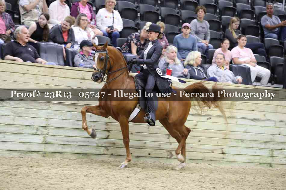 Proof 23R13_05747