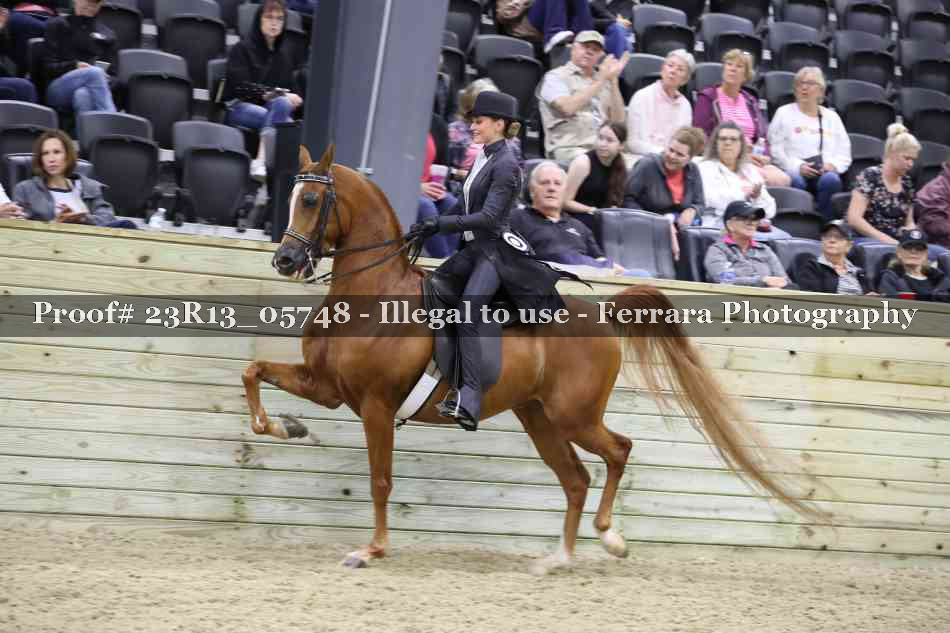 Proof 23R13_05748