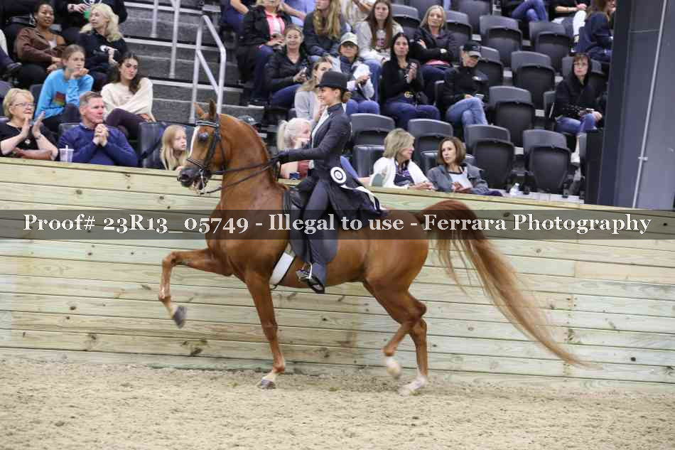 Proof 23R13_05749