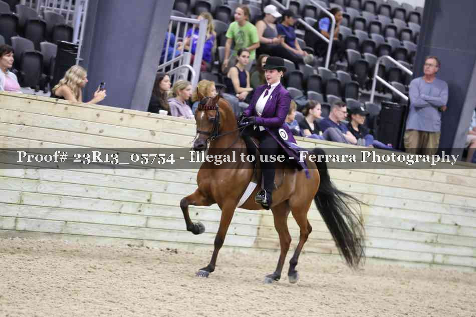 Proof 23R13_05754