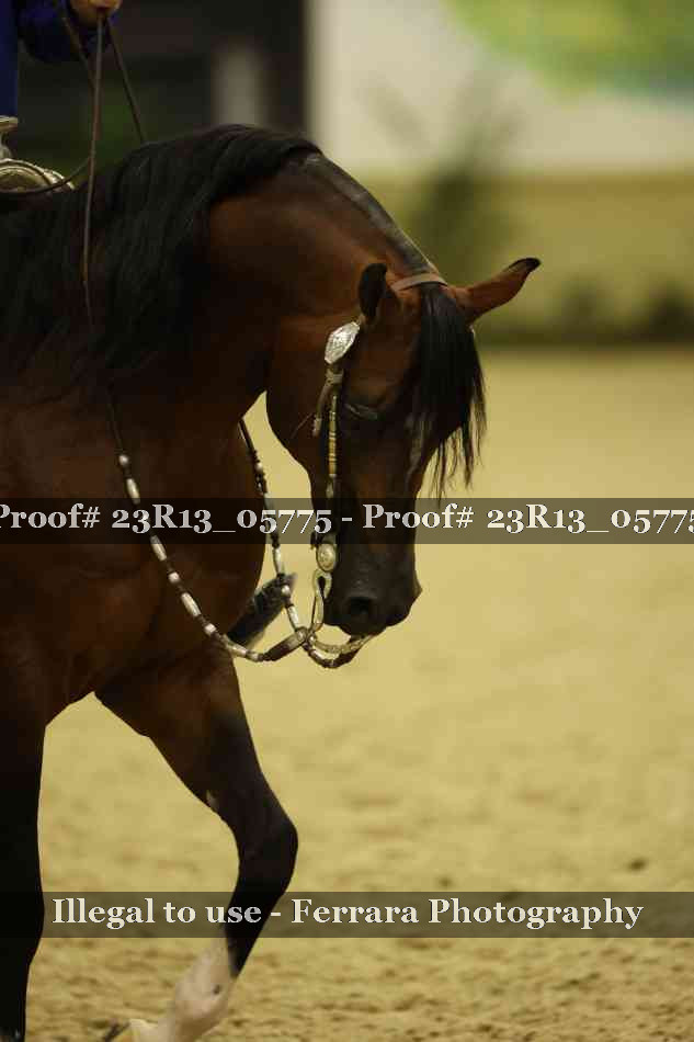Proof 23R13_05775