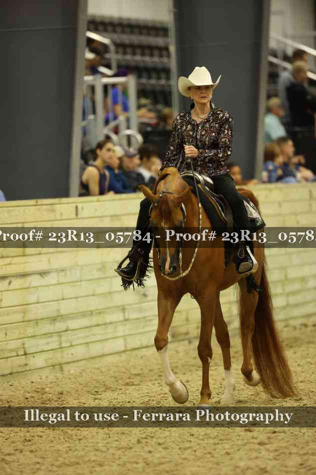Proof 23R13_05784