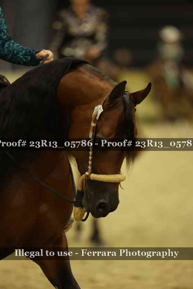 Proof 23R13_05786