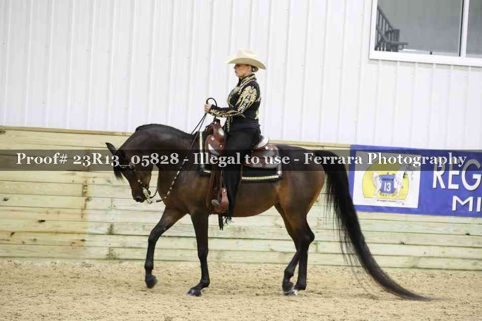Proof 23R13_05828