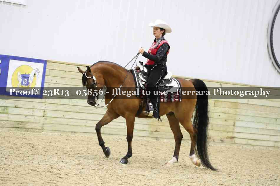 Proof 23R13_05856