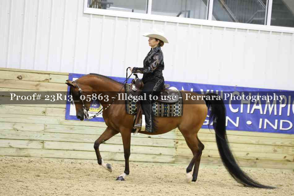 Proof 23R13_05863